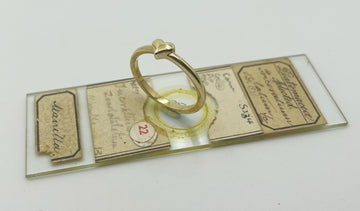 9kt Gold Tiny Heart Ring Gold jewellery Paterson Fine Jewellery 
