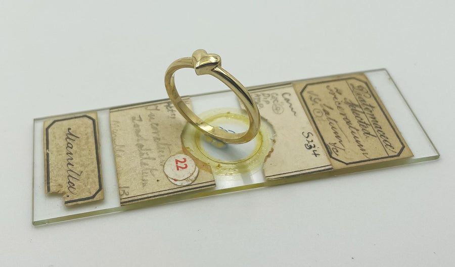 9kt Gold Tiny Heart Ring Gold jewellery Paterson Fine Jewellery 