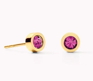 Coeur de Lion Pink Crystal & Gold Plated S/Steel Stud Earring Bracelet Timesupply 
