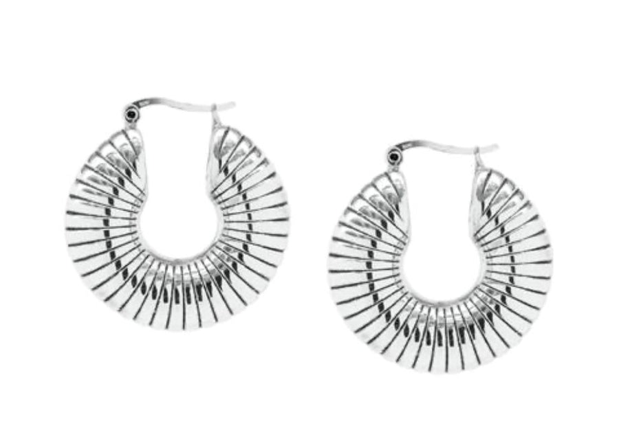 Fossil Find Silver Hoops Earrings 