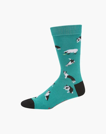 Men's Bamboo Socks - Border Collie Underwear Pussyfoot 