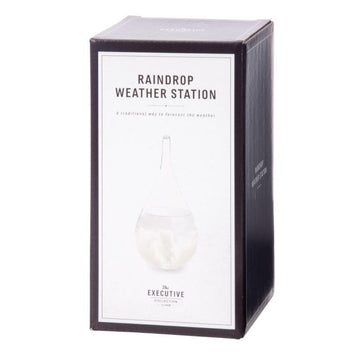 Raindrop Weather Station Games IsAlbi 