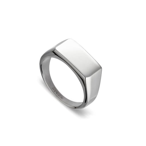 Stainless Steel Signet Ring – Teddy Sinclair