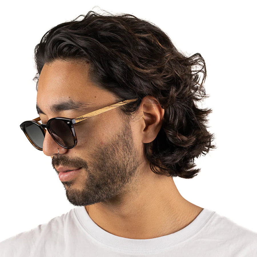 TAINE Black Tort Sunglasses Glasses Soek 