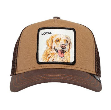 Goorin Bros Trucker Cap - The Loyal Dog Cap Hummingbird Brands Brown 