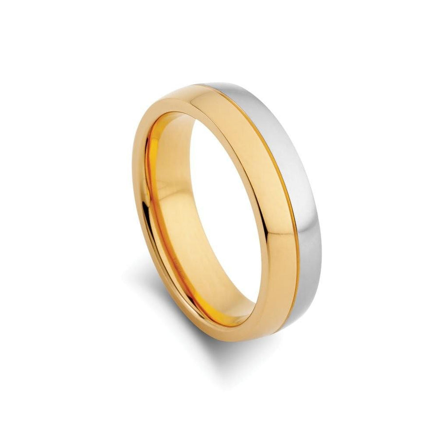 Titanium ring two tone gold/shiny Ring DPI (Display Plus Imports) 